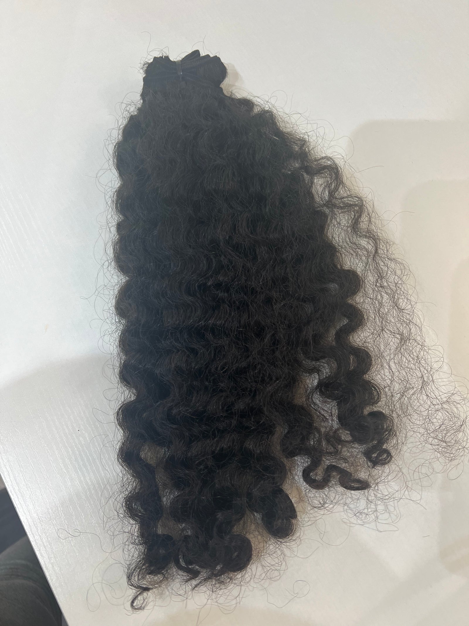 Burmese Curly